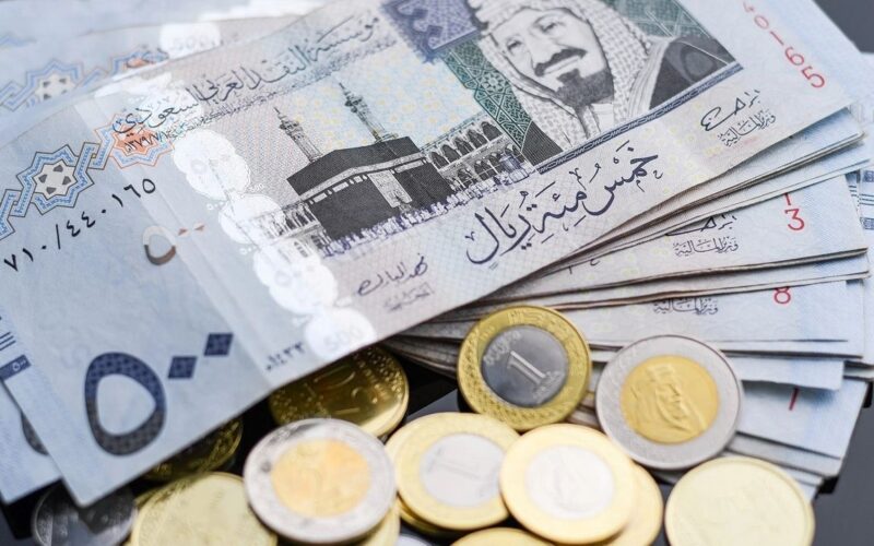 تذبذب في سعر الريال السعودي مقابل الجنيه المصري في السوق السوداء اليوم الثلاثاء 2\7\2024