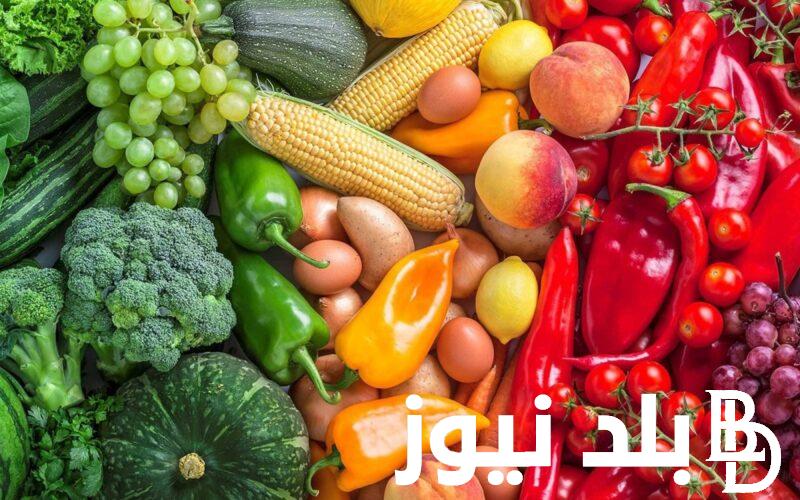 بكام النهاردة؟..أسعار الخضروات في سوق العبور اليوم الأحد 28 يوليو 2024 وأسعار الفاكهة اليوم