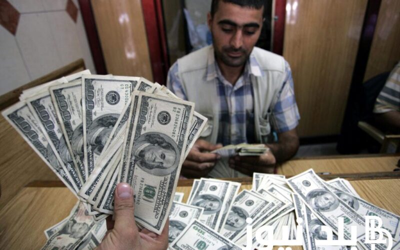 “الأخضر بكام اليوم” سعر الدولار الامريكي مقابل الجنية المصري في البنوك المصرية