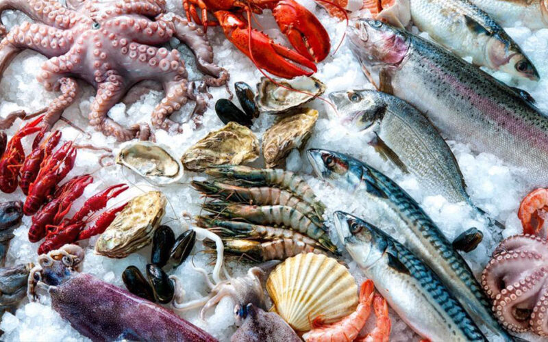 “كابوريا وسبيط” أسعار السمك اليوم بسوق العبور بتاريخ السبت 27 يوليو 2024