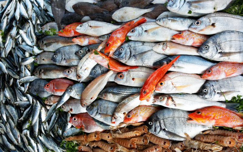 ننشُر جدول أسعار السمك اليوم للمستهلك الاربعاء 3 يوليو 2024 في سوق العبور