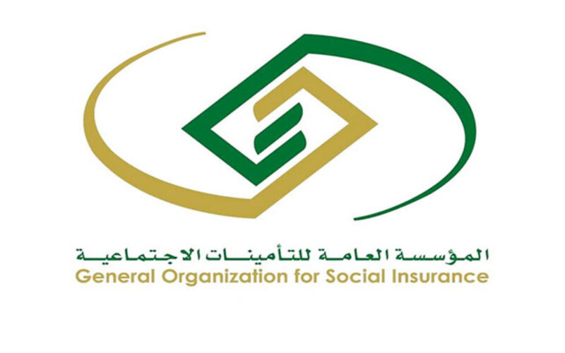 “بالقطاع العام والخاص” نظام التأمينات الاجتماعية الجديد 2024 و الأقسام التي يتضمنها نظام التأمينات بالسعودية