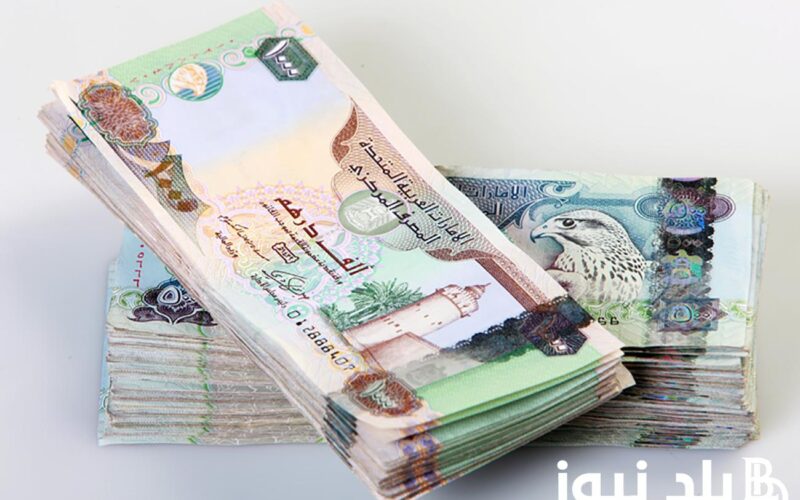 كم سعر الدرهم الإماراتي في السوق السوداء اليوم الثلاثاء 2 يونيو 2024 مقابل الجنيه المصري
