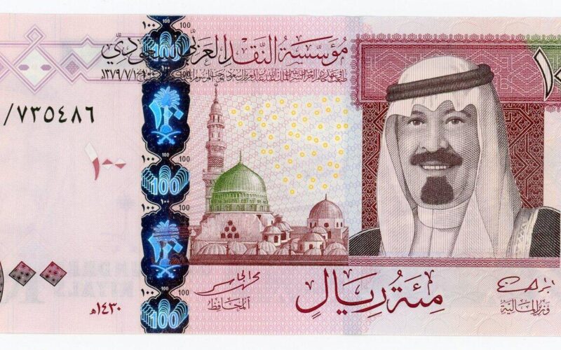 100 ريال سعودي كم جنيه مصري في السوق السوداء والبنوك اليوم الأحد 21 يوليو 2024