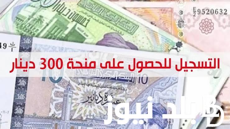 التسجيل في منحة 300 دينار تونس 2024 عبر الموقع الرسمي لوزارة الشؤون الاجتماعية التونسية