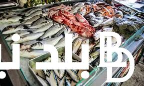 “بحري ياسمك”.. اسعار السمك اليوم الخميس 25 يوليو 2024 للمُستهلك في الاسواق المصرية