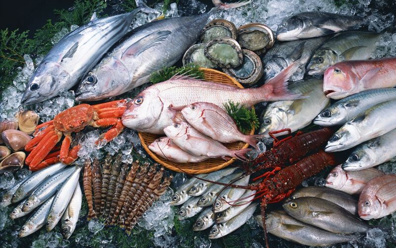 “طازة يا سمك” اسعار السمك اليوم الثلاثاء بتاريخ 23 يوليو 2024 للمستهلكين في سوق العبور