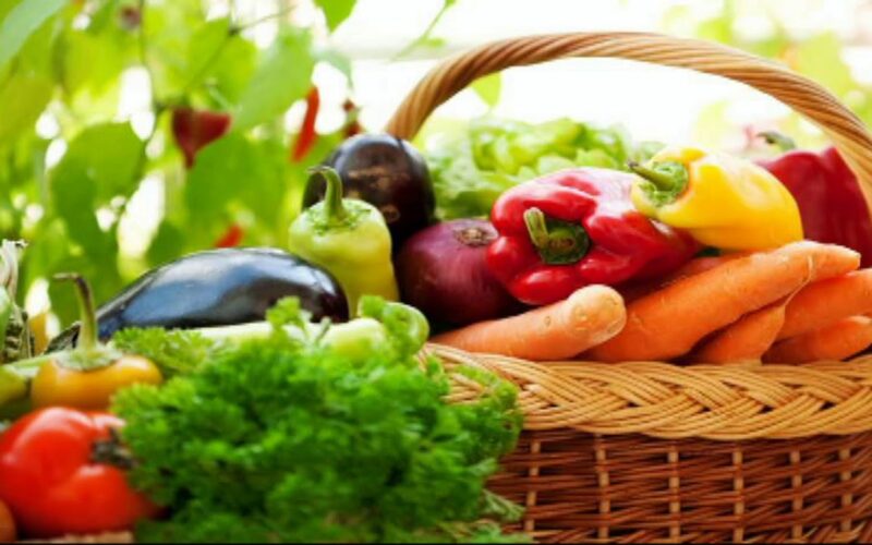 “اشتري خضارك” أسعار الخضروات في سوق العبور اليوم الأحد 28 يوليو 2024 وبمحلات التجارية للمستهلك