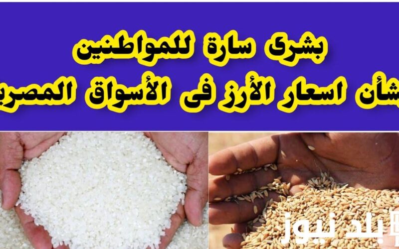 “اشتريلك شيكارة” كم سعر طن الأرز الشعير اليوم الأثنين 1 يوليو 2024 في جميع الأسواق للمستهلك
