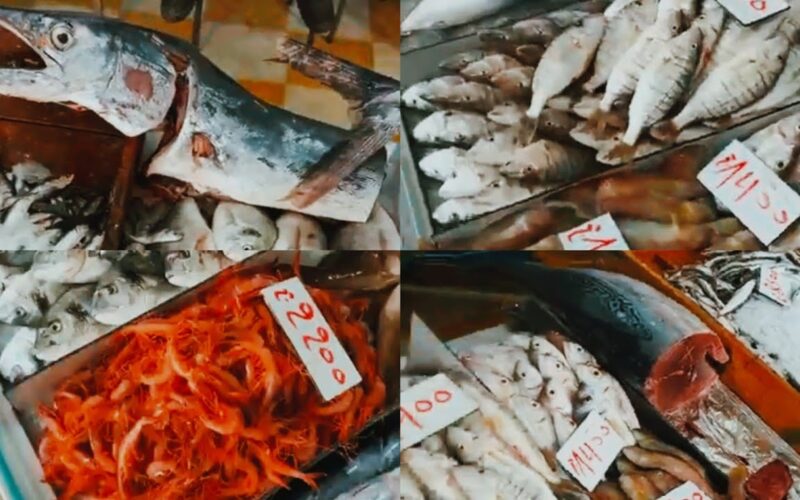 “بلطي وبوري” اسعار السمك اليوم الخميس بتاريخ 18 يوليو 2024 في سوق العبور