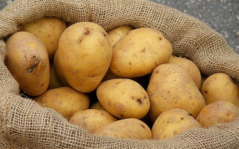 الكيلو بكام؟.. أسعار البطاطس اليوم الثلاثاء بتاريخ 23 يوليو 2024 للمستهلكين في سوق العبور