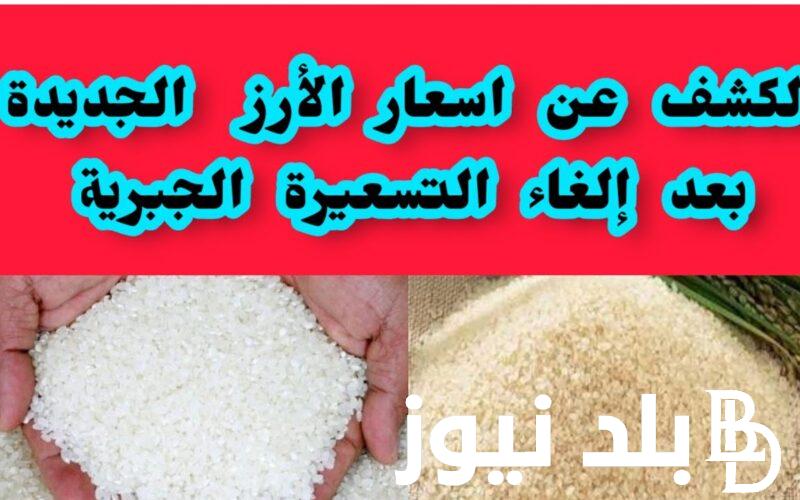 ” الطن على كام؟”سعر طن الأرز الشعير اليوم السبت 20 يوليو 2024 في الاسواق