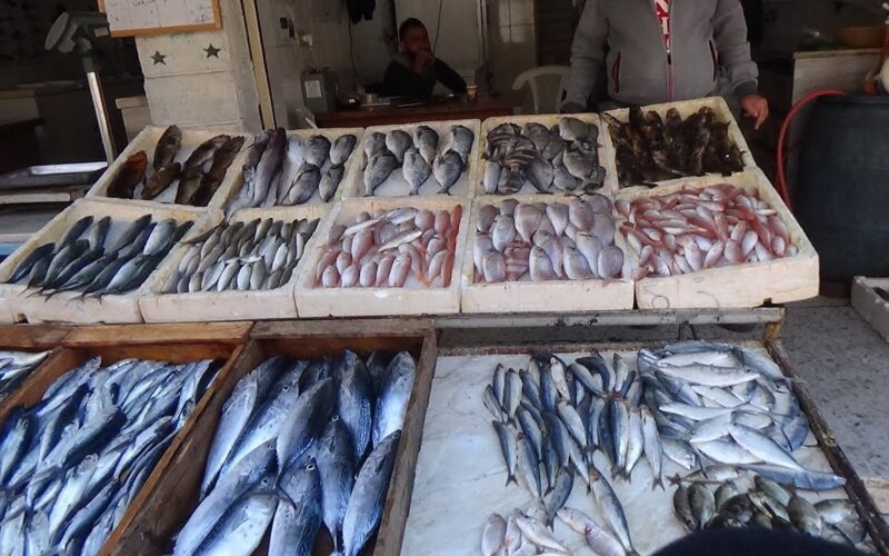 اسعار السمك البلطي اليوم السبت 20 يوليو 2024 في مصر بسوق العبور