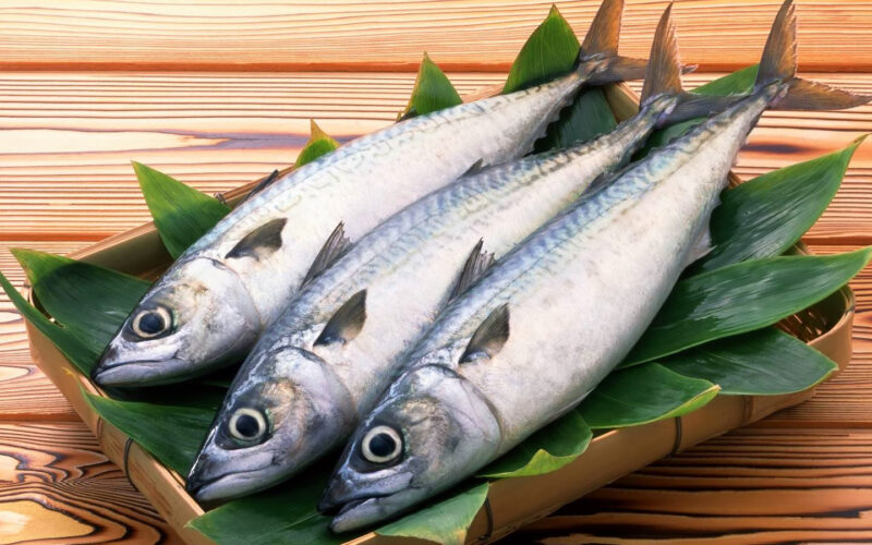 “ظازة ومثلج” أسعار السمك اليوم للمستهلك بتاريخ الإثنين 29 يوليو 2024 في الأسواق