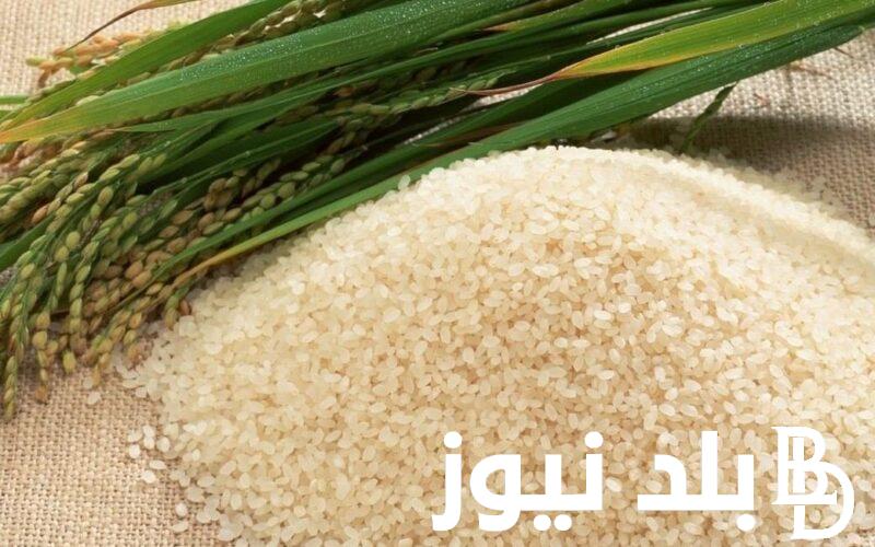 “ابيض وشعير” سعر طن الأرز الشعير اليوم الاثنين 29-7-2024 في الاسواق للمستهلك