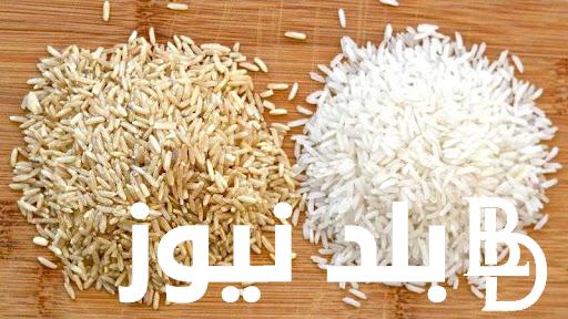 “الطن علي كام” سعر طن الأرز الشعير اليوم الخميس 4 يوليو 2024 في الاسواق والمضارب للتجار والمستهلكين