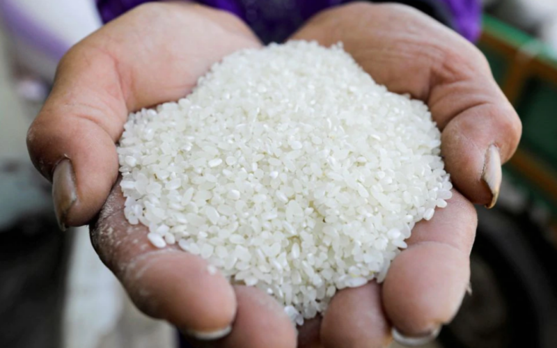 كيلو الارز بكام؟.. سعر طن الأرز الشعير اليوم الثلاثاء 16 يوليو 2024 للمستهلك بجميع الاسواق المحلية