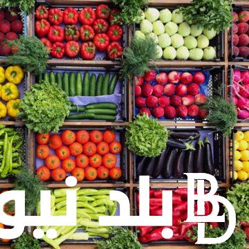 “بعد الزيادة” أسعار الخضروات والفاكهة بمصر اليوم الخميس 25 يوليو 2024 في جميع الاسواق