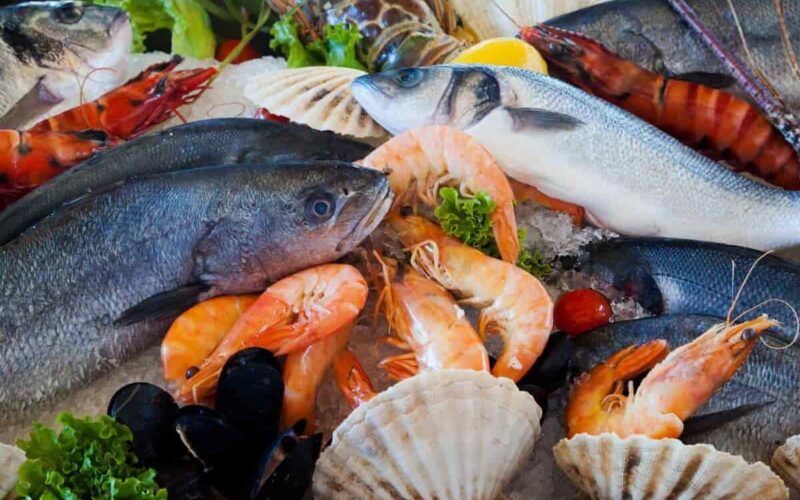 “الجمبري بـ 500 جنيه” ‎أسعار السمك اليوم للمستهلك الثلاثاء 23 يوليو 2024 وأسعار الجمبري وفق تسعيرة سوق العبور
