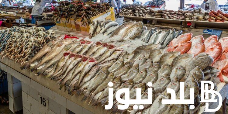 الجمبري بـ 260.. اسعار السمك اليوم السبت 27-7-2024 في الاسواق للمستهلك