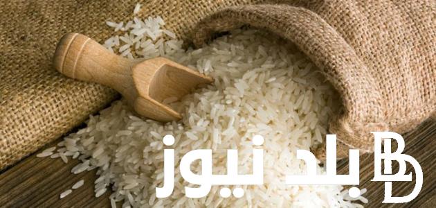 “الأبيض بكام” سعر طن الأرز الشعير اليوم الأربعاء 10 يوليو 2024 في جميع الأسواق