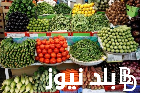 وفقا لأسعار سوق العبور.. أسعار الخضروات في سوق العبور اليوم الثلاثاء 30 يوليو 2024