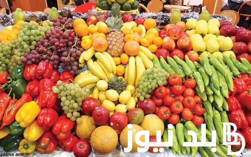 اسعار الخضار اليوم الاحد 28 يوليو 2024 في سوق العبور وجميع الاسواق المصرية