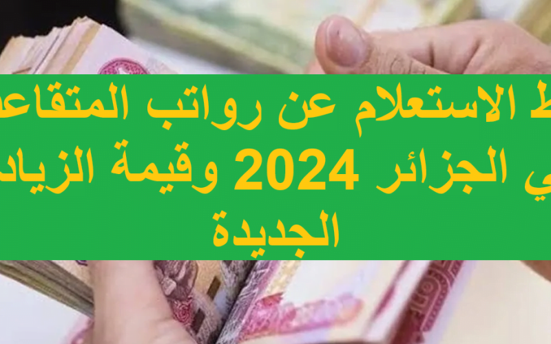 حقيقة زيادة رواتب المتقاعدين بالجزائر 2024 وفقاً لوزارة المالية وخطوات الاستعلام عن الرواتب
