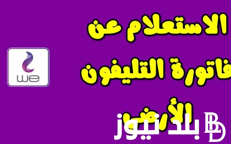 استعلم من هُنا.. الاستعلام فاتورة التليفون الأرضي 2024 الكترونيًا عبر موقع المصرية للاتصالات billing.te.eg