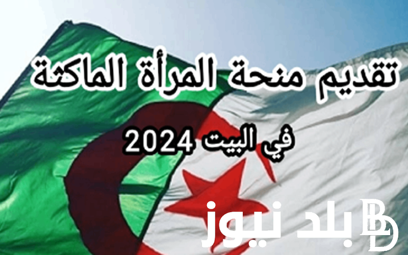 من هُنا.. رابط التسجيل في منحة المرأة الماكثة في البيت 2024 في الجزائر عبر موقع الوكالة الوطنية للتشغيل anem.dz