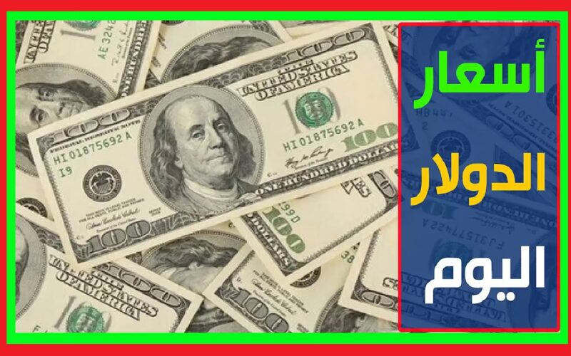 الأخضر بكام؟.. سعر الدولار مقابل الجنيه المصري في السوق السوداء اليوم الاثنين بتاريخ 29 يوليو 2024