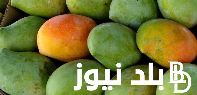 “اشتري الكيلو ب20” سعر المانجو اليوم الإثنين الموافق 29 يوليو 2024 للمستهلك بالأسواق المصرية