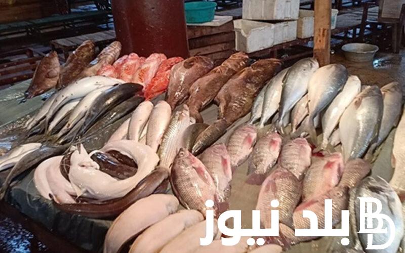 اسعار السمك اليوم في الاسواق والمحلات.. اعرف الجمبري وصل لكام