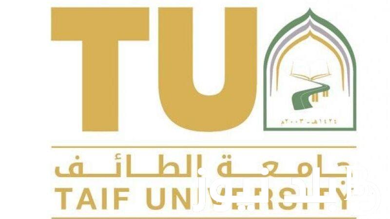 تعرف على شروط القبول في جامعة الطائف 1446.. وما هى نسب القبول في جامعة الطائف