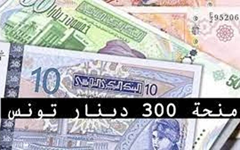 فتح باب التقديم علي منحة 300 دينار تونس عبر الموقع وزارة الشؤون الاجتماعية التونسية