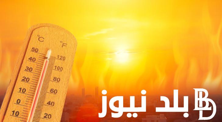أهلًا أغسطس.. حالة الطقس غدا هيئة الارصاد الجوية الخميس 1 اغسطس 2024 ودرجات الحرارة المتوقعة
