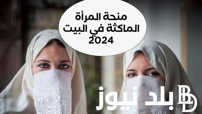من هُنا.. رابط التسجيل في منحة المرأة الماكثة بالبيت 2024 بالجزائر وأهم شروط التسجيل عبر anem.dz