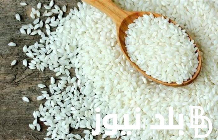 “بكل أنواعه” .. سعر طن الأرز الشعير اليوم الإربعاء الموافق 24 يوليو 2024 للتجار والمُستهلك