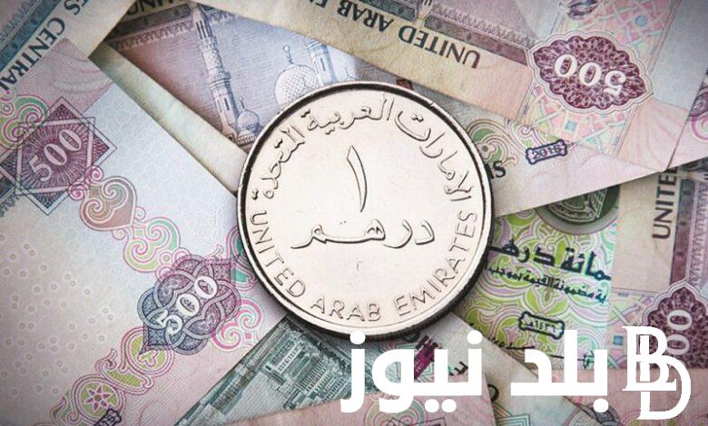سعر 1درهم إماراتي كم جنيه مصري اليوم الأربعاء الموافق 17 يوليو 2024 في السوق السوداء والبنوك