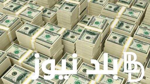 “السعر في العالي” سعر الدولار اليوم الأحد 14 يوليو 2024 في السوق السوداء ومختلف البنوك المصرية
