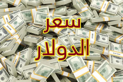 ” الدولار يعاود الاشُتعال ” سعر الدولار في السوق السوداء اليوم الخميس 25 يوليو 2024 في جميع البنوك المصرية