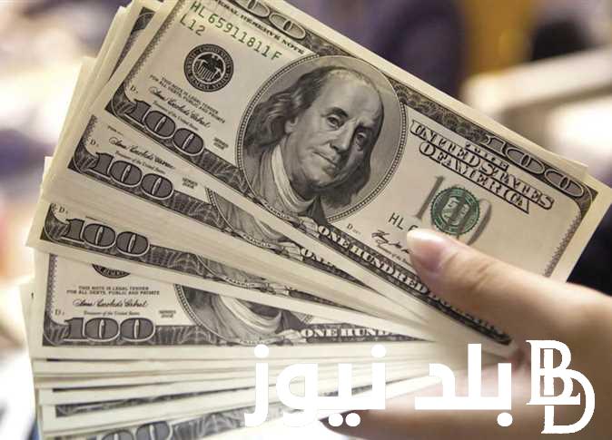 “الدولار يضرب” سعر الدولار في السوق السوداء اليوم الخميس 4 يوليو 2024 وجميع البنوك المصرية