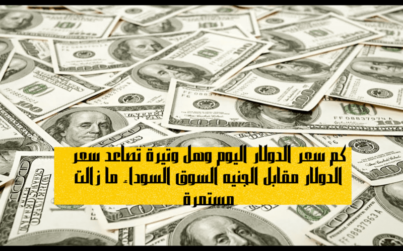 “قبل تحرير سعر الصرف” سعر الدولار اليوم السبت 27 يوليو 2024 في جميع البنوك المصرية والسوق السوداء