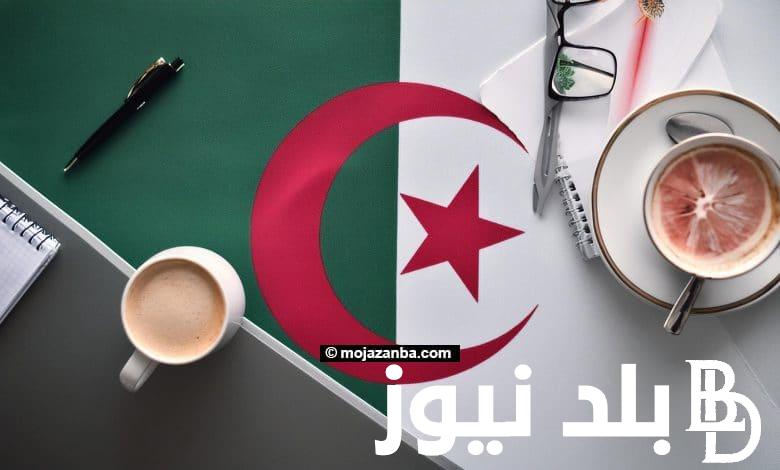 منصة توظيف الاساتذة المتقاعدين 2024 الجزائر وخطوات تسجيل الدخول اليها