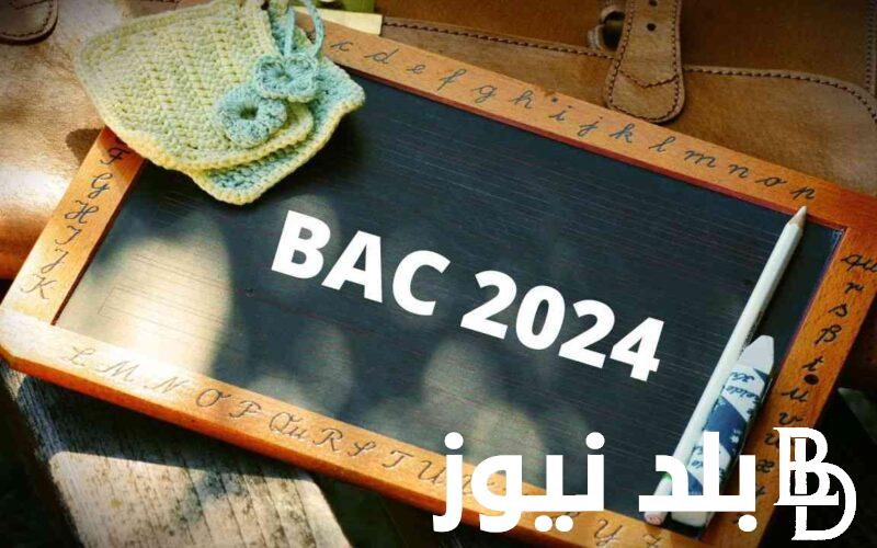 رسميًا موعد البكالوريا البيضاء 2024 في جميع المحافظات التونسية وخطوات الاستعلام عن النتائج عبر education.gov.tn