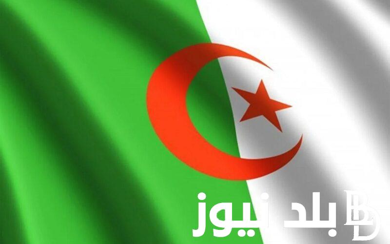حسب التقويم الجزائري.. موعد الدخول المدرسي 2025 بالجزائر للطلاب والمعلمين وأهم العطلات الدراسية الرسمية