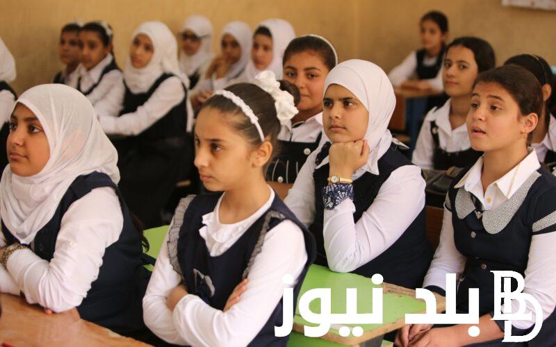 “Back to school” موعد بدء الدراسة 2025 في مصر وفقاً لبيان وزارة التربية والتعليم