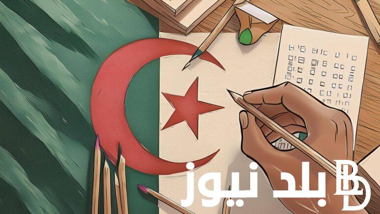 تعرف على نتائج البكالوريا الجزائر جميع الولايات 2024 عبر موقع الديوان الوطني للامتحانات والمسابقات بالجزائر