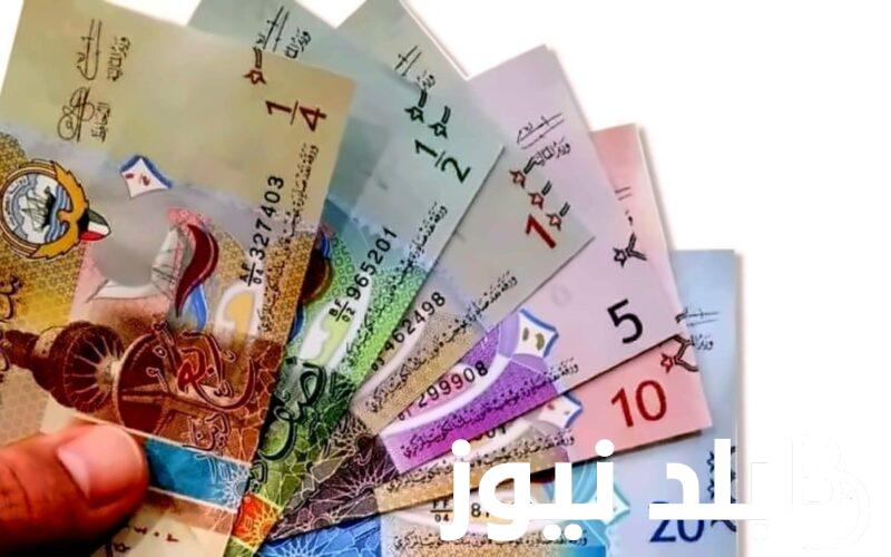 “الكويتي مُستقر الآن” .. سعر الدينار الكويتي في السوق السوداء اليوم الجمعه الموافق 2/8/2024 أمام الجنيه المصري