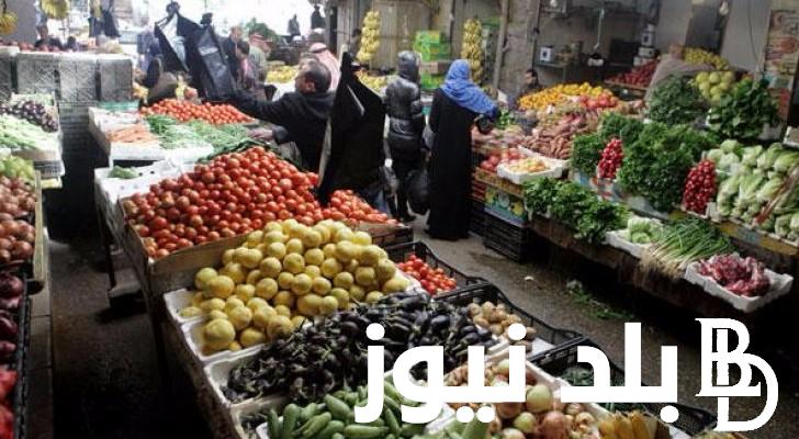 جدول اسعار الخضار اليوم والفاكهة الخميس 15 أغسطس 2024 في مصر بسوق العبور